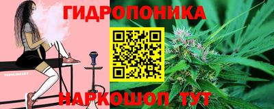 дмт Заволжье