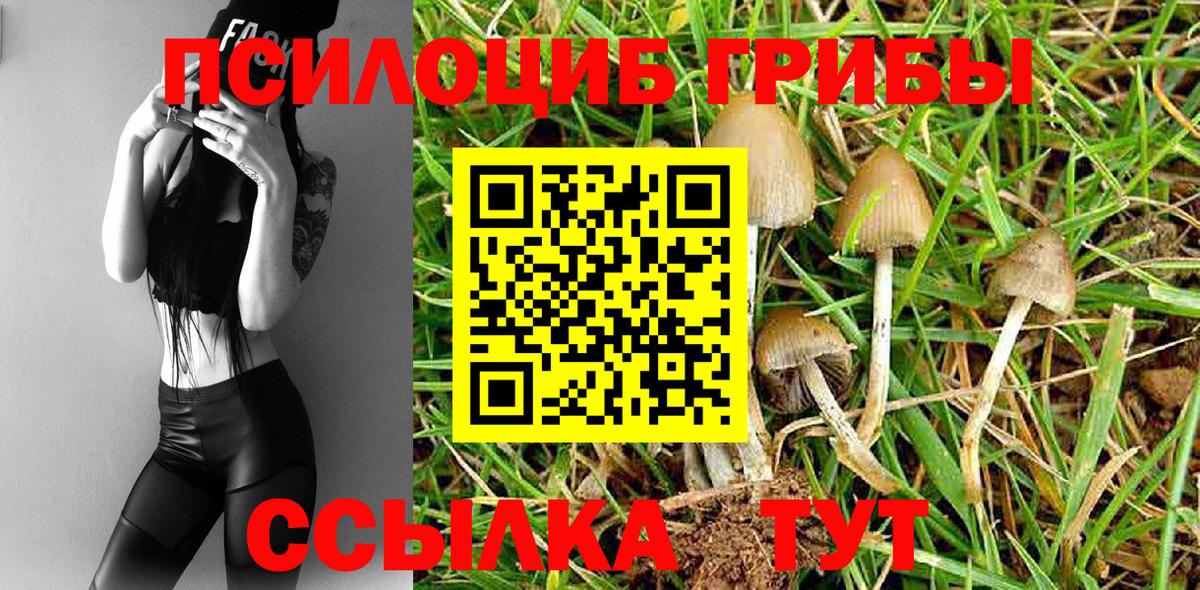 Галлюциногенные грибы мухоморы Лосино-Петровский