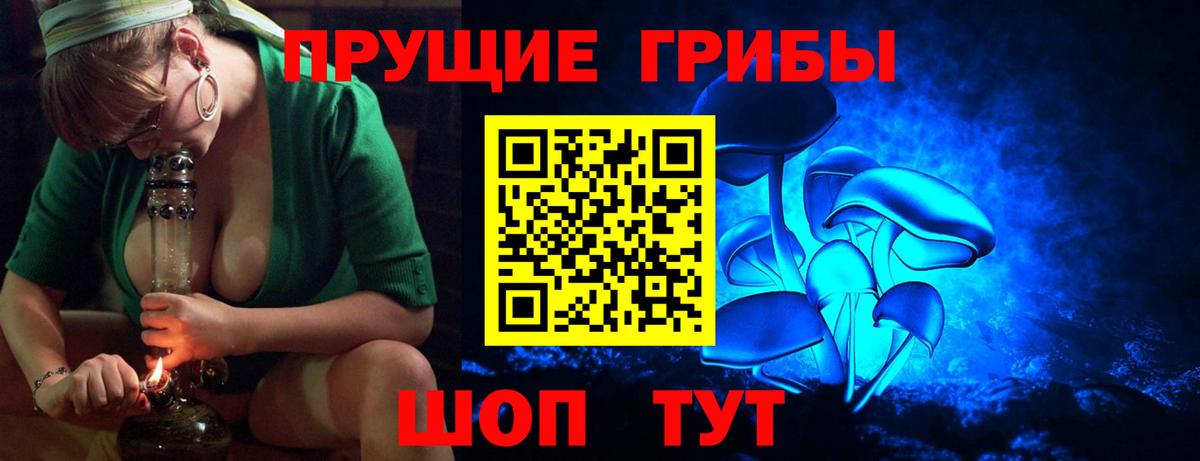 Лосино-Петровский  Псилоцибиновые грибы GOLDEN TEACHER  Вход с VPN  Галлюциногенные грибы Magic Shrooms 